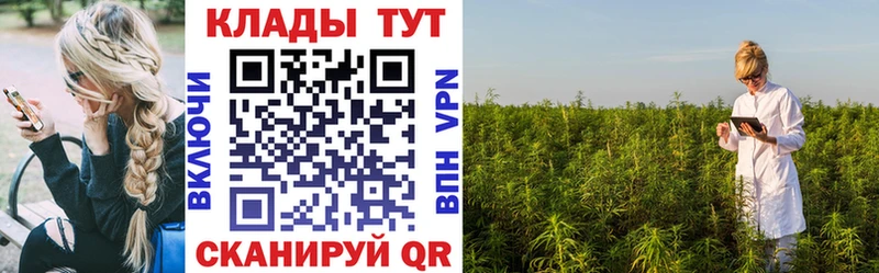 Где купить наркоту Нарьян-Мар Каннабис  APVP  ГАШ  Меф  Кокаин 