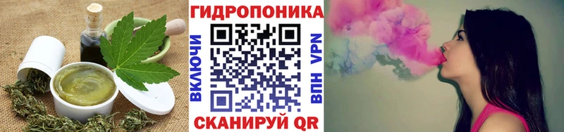 Cannafood конопля  купить  цена  Нарьян-Мар 