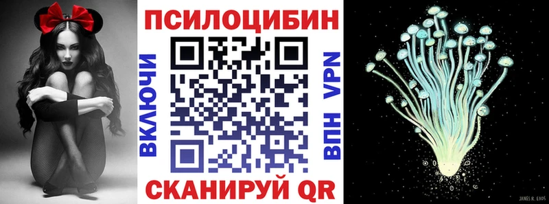 Галлюциногенные грибы Psilocybe  Нарьян-Мар 