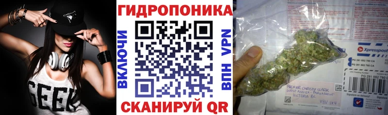 Бошки Шишки THC 21%  Нарьян-Мар 